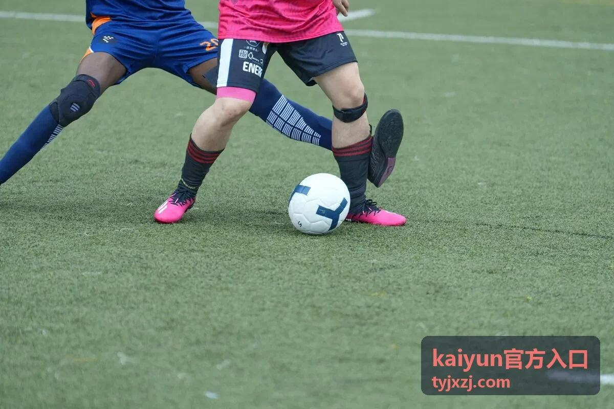 桌面浏览器核对 kaiyun官方入口 地址的操作示意
