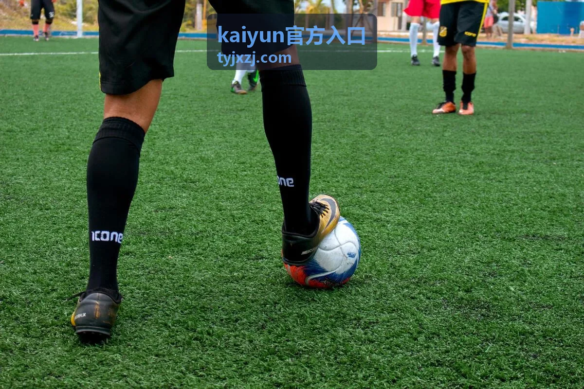 kaiyun官方入口 异常现象反馈与核对流程