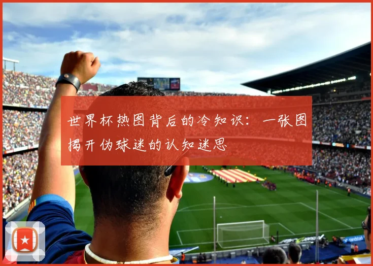 世界杯热图背后的冷知识:一张图揭开伪球迷的认知迷思