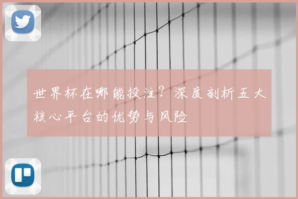世界杯在哪能投注?深度剖析五大核心平台的优势与风险