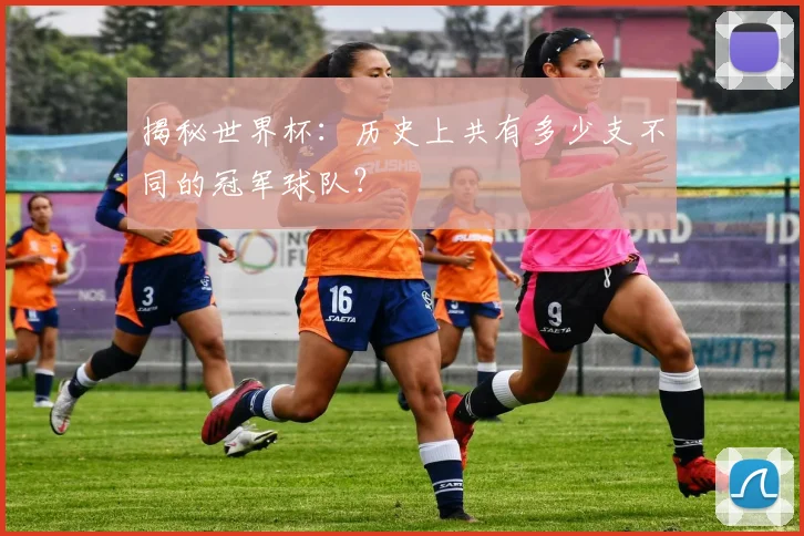 揭秘世界杯：历史上共有多少支不同的冠军球队？