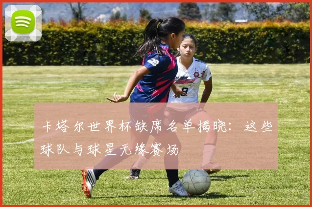 卡塔尔世界杯缺席名单揭晓：这些球队与球星无缘赛场