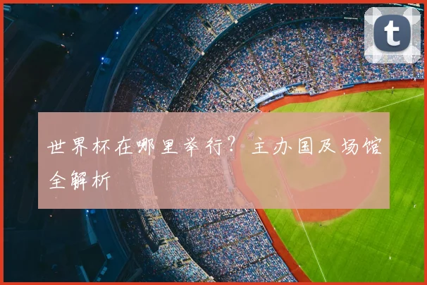 世界杯在哪里举行？主办国及场馆全解析