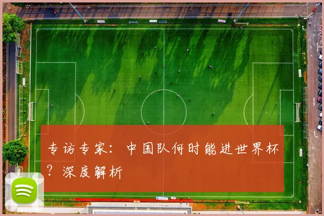 专访专家:中国队何时能进世界杯?深度解析