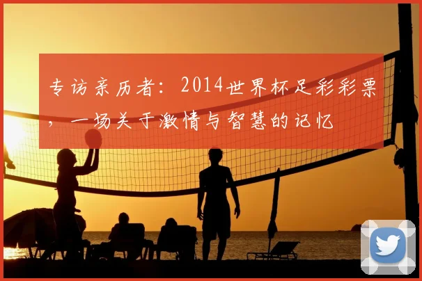 专访亲历者：2014世界杯足彩彩票，一场关于激情与智慧的记忆