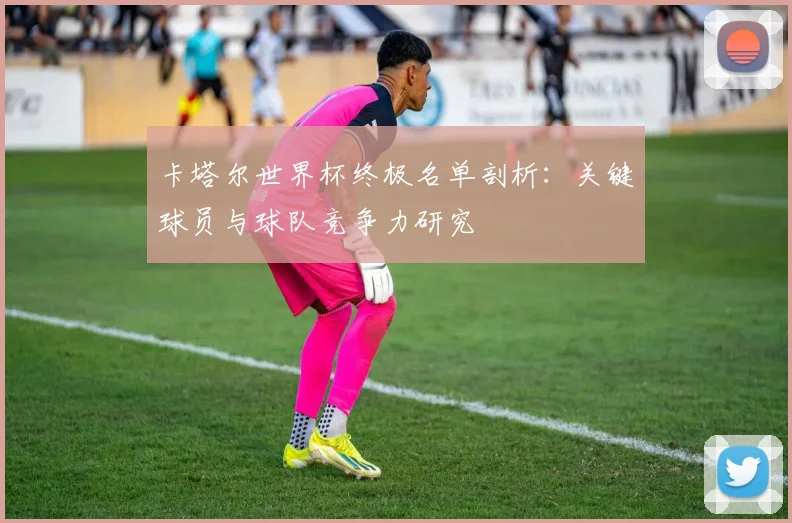 卡塔尔世界杯终极名单剖析：关键球员与球队竞争力研究