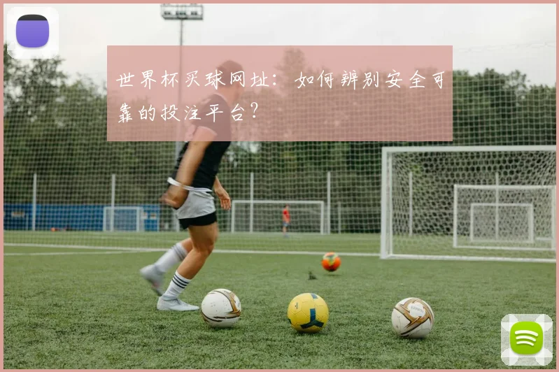 世界杯买球网址：如何辨别安全可靠的投注平台？