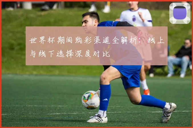 世界杯期间购彩渠道全解析：线上与线下选择深度对比